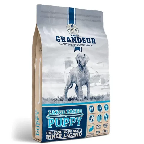 JOCK GRANDEUR PUPPY 1 JOCK GRANDEUR PUPPY 1