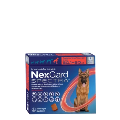 NEXGARD SPECTRA XL LARGE SINGLE 30.1 60KG png 1 NEXGARD SPECTRA XL LARGE SINGLE 30.1 60KG png 1