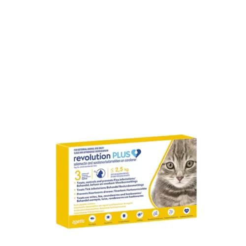 Revolution Plus Kittens png 1 Revolution Plus Kittens png 1